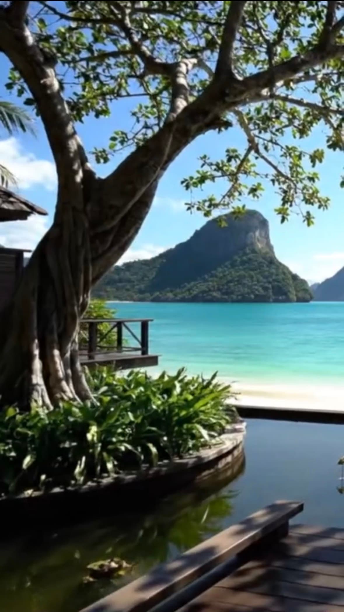 Aperçu vidéo Et si c'était déjà fait ? pour l'accompagnement Visa DTV Thaïlande